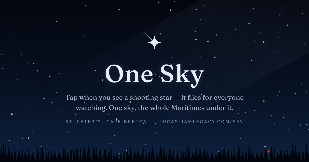 A Cape Breton night sky over the Atlantic, spruce treeline in silhouette beneath the stars.